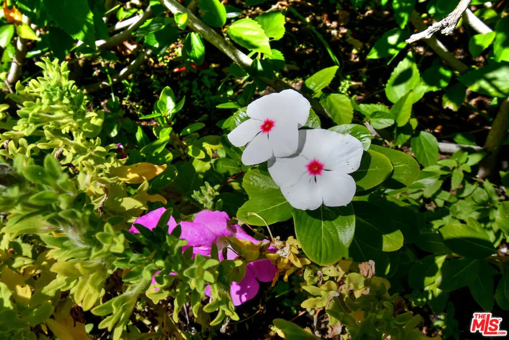 3661 El Encanto Drive, Calabasas, California 91302 home-pic-62